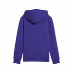 Jungen Sweater mit Kapuze Puma Essentials+ 2 Col Big Logo Blau