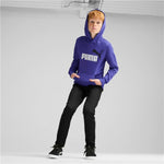 Jungen Sweater mit Kapuze Puma Essentials+ 2 Col Big Logo Blau