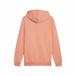 Herren Sweater mit Kapuze Puma