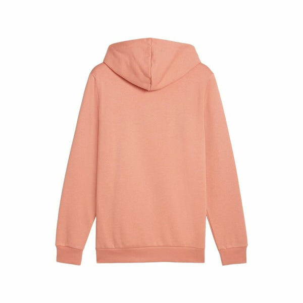 Herren Sweater mit Kapuze Puma