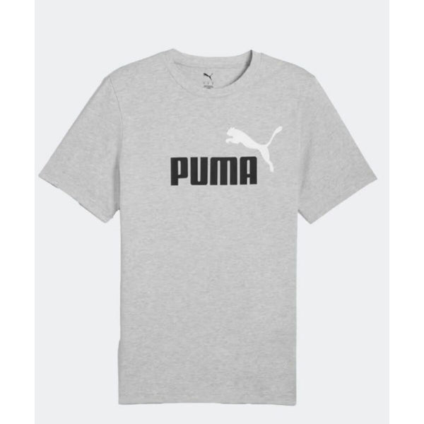 Herren Kurzarm-T-Shirt Puma ESS 2 COLOR No. 1 Logo Tee C/O 684708 04 Grau