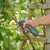 Akku-Baumschere Gardena Assistcut 12222-20 Bypass 25 mm