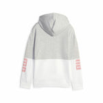 Kinder-Sweatshirt Puma Power Colorblock Grau