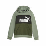 Kinder-Sweatshirt Puma Ess Block Fl grün