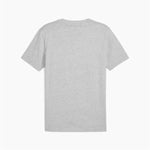 Herren Kurzarm-T-Shirt Puma The Hooper 3 Hellgrau