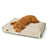 Hundebett Hunter Belluno Beige 100 x 70 cm