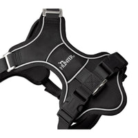 Hundegeschirr Hunter DIVO UP Schwarz S