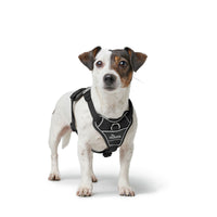 Hundegeschirr Hunter DIVO UP Schwarz S