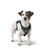 Hundegeschirr Hunter DIVO UP Schwarz S