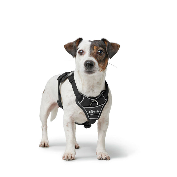 Hundegeschirr Hunter DIVO UP Schwarz S