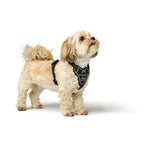 Hundegeschirr Hunter DIVO UP Schwarz L/XL