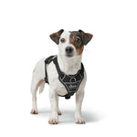 Hundegeschirr Hunter DIVO UP Schwarz L/XL