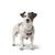 Hundegeschirr Hunter DIVO UP Beige S