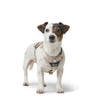 Hundegeschirr Hunter DIVO UP Beige M