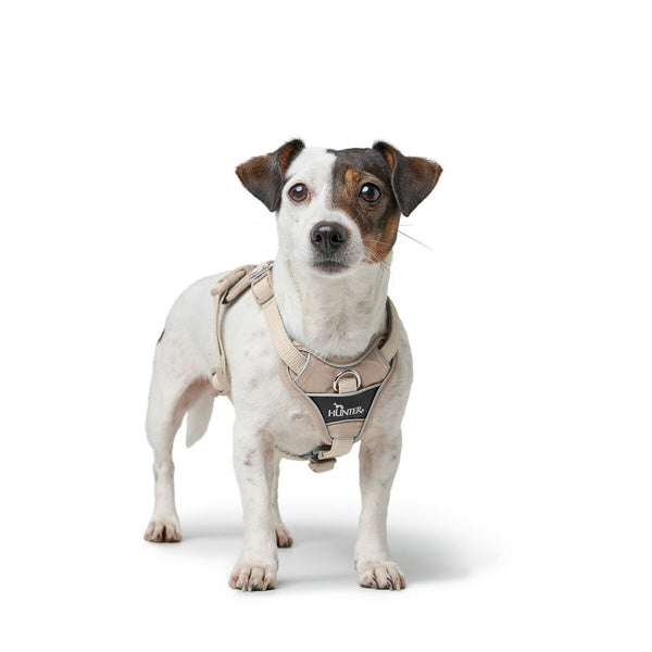 Hundegeschirr Hunter DIVO UP Beige M