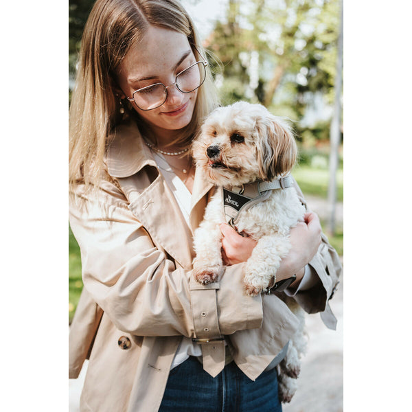 Hundegeschirr Hunter DIVO UP Beige M