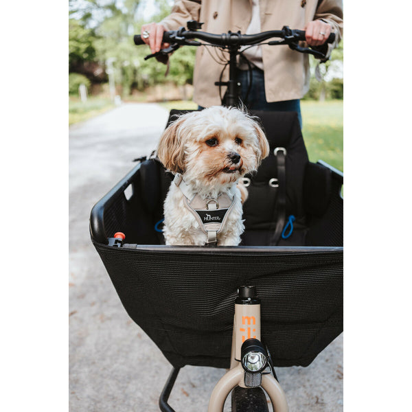 Hundegeschirr Hunter DIVO UP Beige L