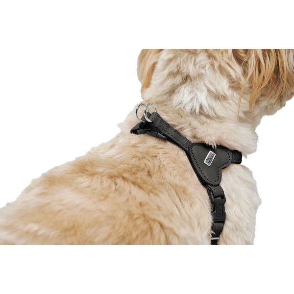 Hundegeschirr Hunter SOHO MINI Schwarz XS/S