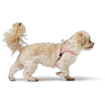 Hundegeschirr Hunter SOHO MINI Rosa XS