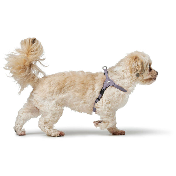 Hundegeschirr Hunter SOHO MINI Lila XXS/XS