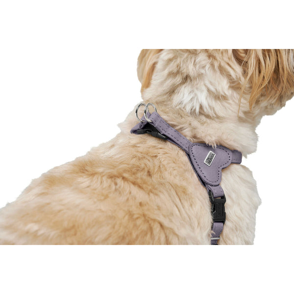 Hundegeschirr Hunter SOHO MINI Lila XS