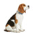 Hundehalsband Hunter VARIO BASIC Blau L 40-55 cm