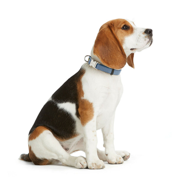 Hundehalsband Hunter VARIO BASIC Blau L 40-55 cm