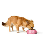 Futternapf für Hunde Hunter Chester Rosa 350 ml