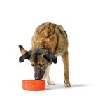 Futternapf für Hunde Hunter OSBY Orange aus Keramik 1,1 L
