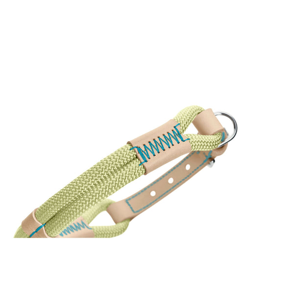 Hundehalsband Hunter Malia grün S/M 35-44 cm