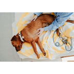 Hundehalsband Hunter MALIA M Blau 12 40-49 cm