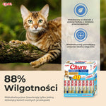 Snack für Katze Inaba Fisch