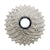 Pinienkerne Shimano ICSR700011132