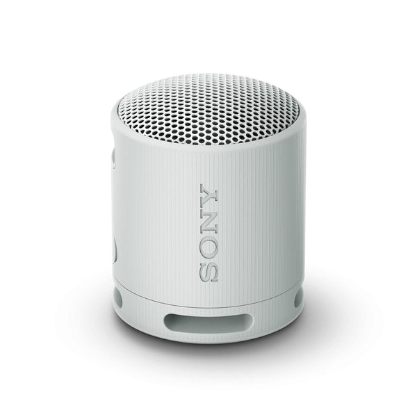 Tragbare Bluetooth-Lautsprecher Sony SRSXB100H.CE7 Grau