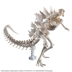 Sammelfigur Bandai GODZILLA (2024) Kunststoff Animation und Anime