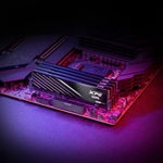 RAM Speicher Adata AX5U6000C3616G-DTLABBK