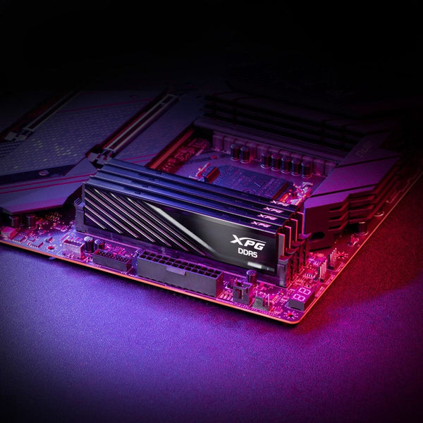 RAM Speicher Adata AX5U6000C3616G-DTLABBK