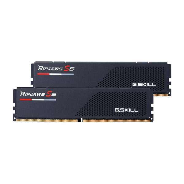 RAM Speicher GSKILL F5-6600J3440G16GX2-RS5K DDR5 32 GB