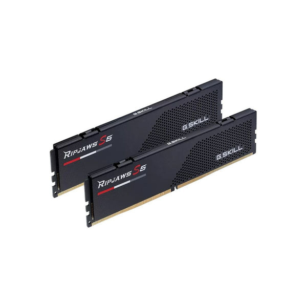 RAM Speicher GSKILL F5-6600J3440G16GX2-RS5K DDR5 32 GB