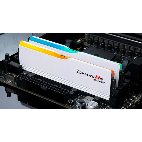 RAM Speicher GSKILL F5-6000J3636F32GX2-RM5NRW 64 GB DDR5 cl28 6000 MHz