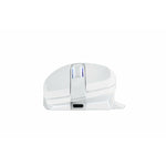 Mouse Powercolor 2U1-G000041001