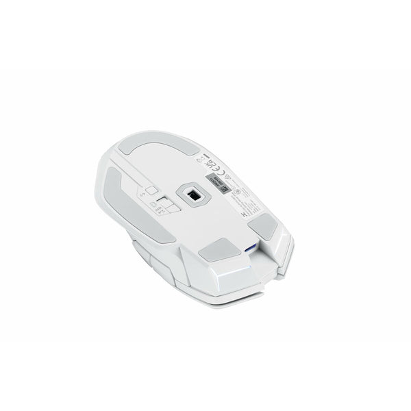 Mouse Powercolor 2U1-G000041001