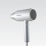 Föhn Feel Maestro MR-213 Silberfarben 2100 W