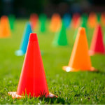 Kegel Aktive (6 Stück)