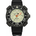 Herrenuhr Citizen BN0227-25X