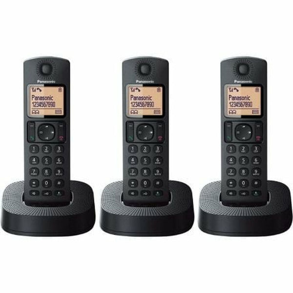 Kabelloses Telefon Panasonic KX-TGC313SPB