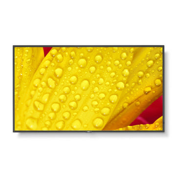 Videowall-Monitor NEC 60006085 4K Ultra HD 50"