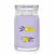 Duftkerze Yankee Candle 1629970E