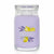 Duftkerze Yankee Candle 1629970E