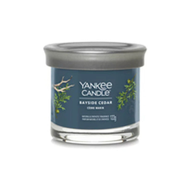 Duftkerze Yankee Candle Bayside Cedar 122 ml